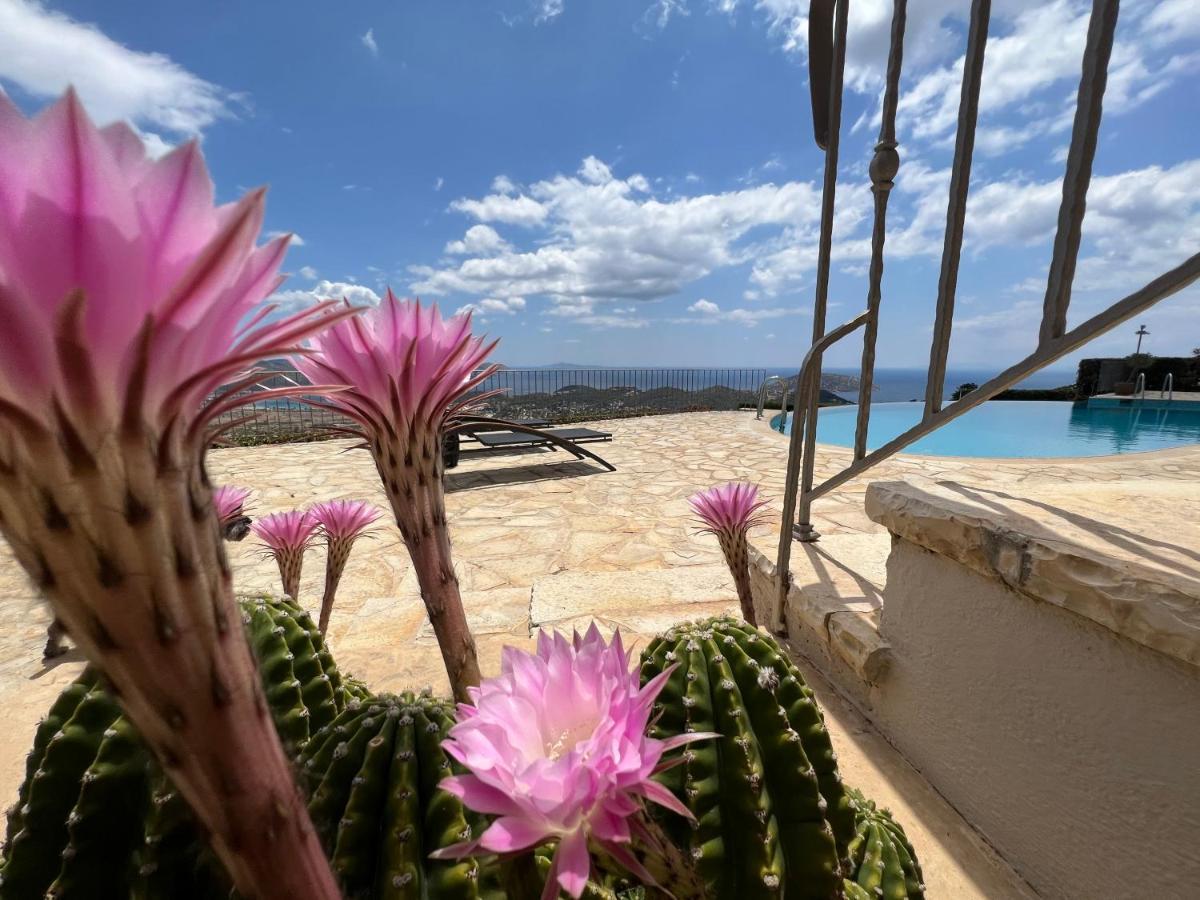 Endless Blue Villa Anavyssos Exterior photo